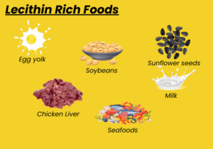 lecithin foods